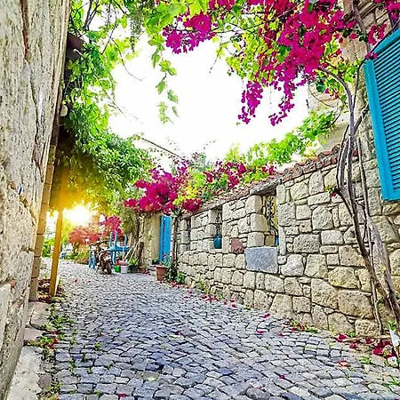 Asmali Alaçatı
